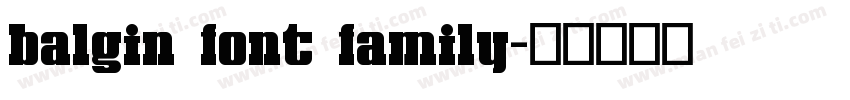 balgin font family字体转换